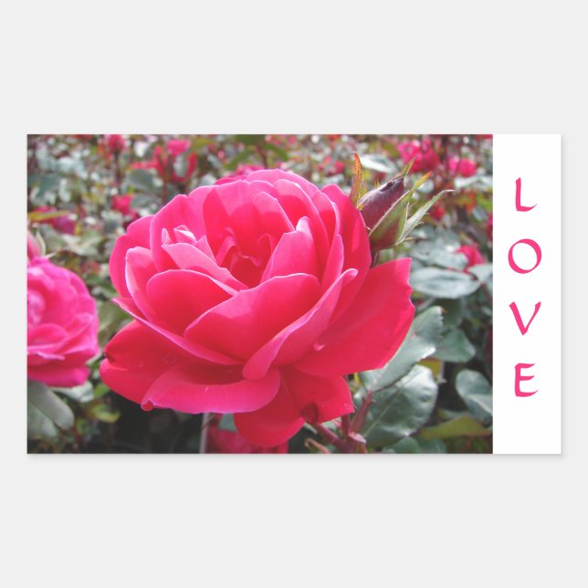 Adesivo Retangular Love Pink Romance Rosa Stickers (Frente)