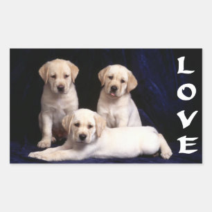Adesivo Retangular Love White Labrador Retriever Puppy Dog Stickers