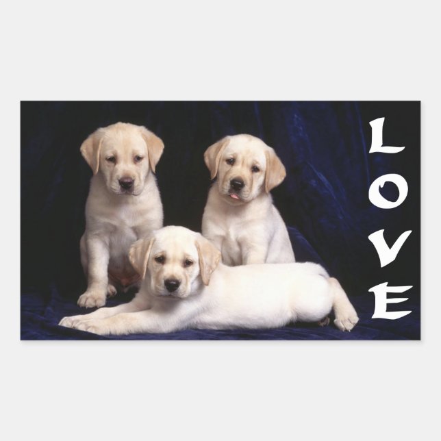 Adesivo Retangular Love White Labrador Retriever Puppy Dog Stickers (Frente)