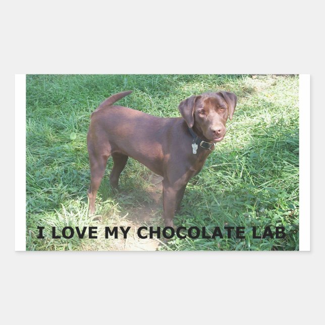 Adesivo Retangular LR chocolate lab love with picture (Frente)