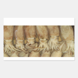 Adesivo Retangular Lula - Calamari