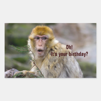 Adesivo Retangular Macaca sylvanus