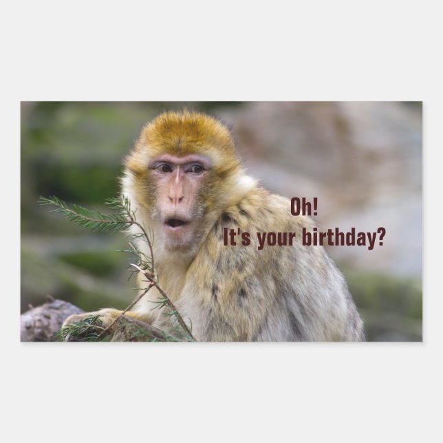 Adesivo Retangular Macaca sylvanus (Frente)