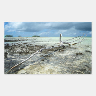 Adesivo Retangular Madeira morto na vinheta retangular do Pacífico