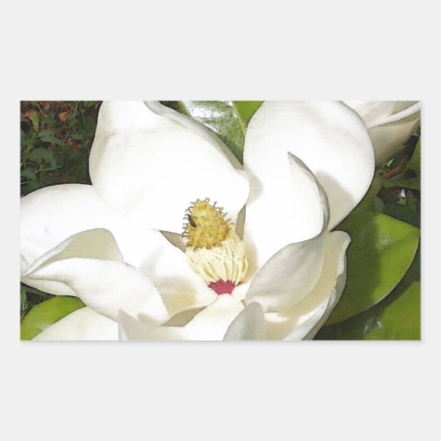 Adesivo Retangular Magnolia Blossom (Frente)