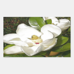 Adesivo Retangular Magnolia Blossom
