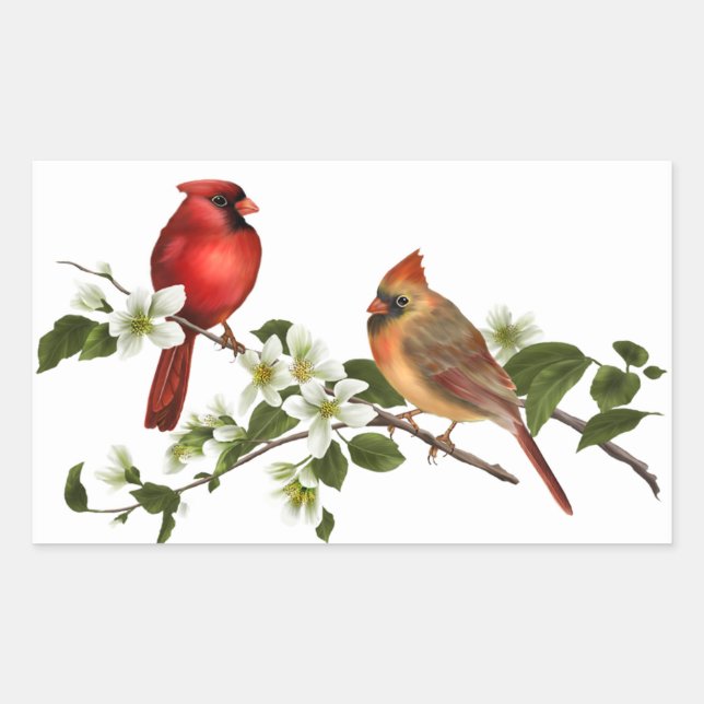 Adesivo Retangular Male Female Cardinals Dogwood Blossoms Branch (Frente)