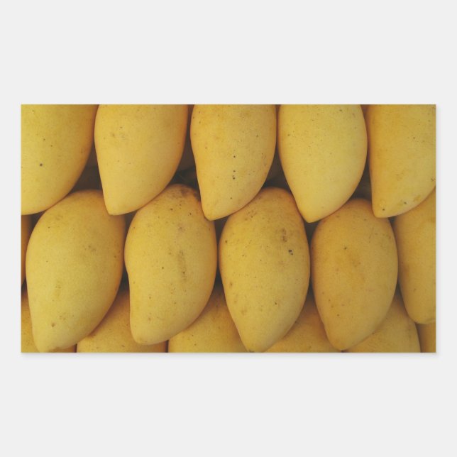 Adesivo Retangular Mango (Frente)