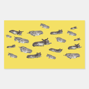 Adesivo Retangular Mania do asno