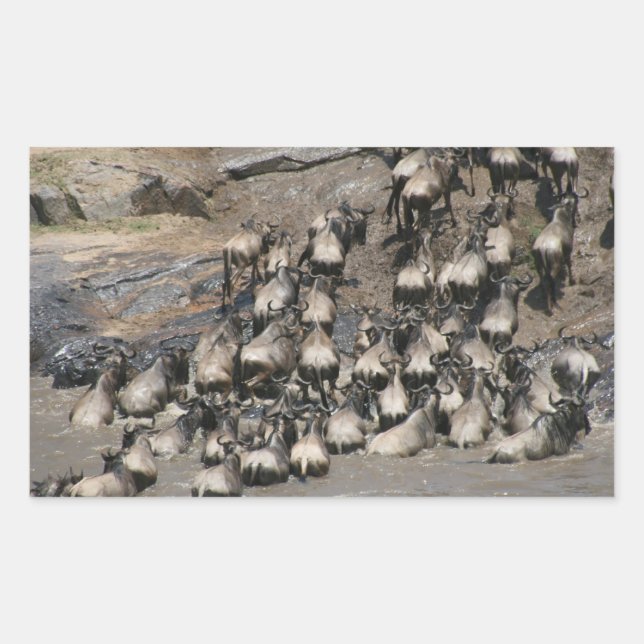 Adesivo Retangular mara wilbeest (Frente)