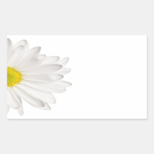 Adesivo Retangular Margaridas personalizadas fundo da flor da