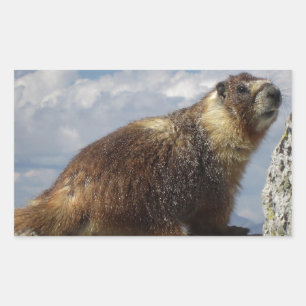 Adesivo Retangular Marmote Amarelo-Abaixo em Yosemite