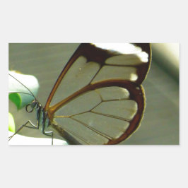 Adesivo Retangular Marrom atordoante e borboleta translúcida
