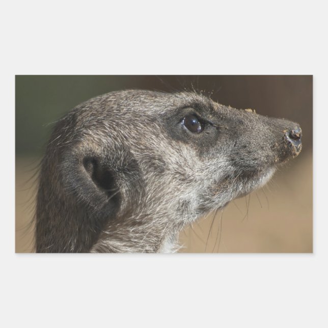 Adesivo Retangular Meerkat (Frente)