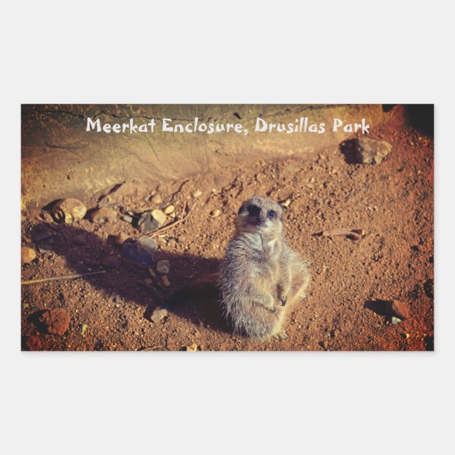 Adesivo Retangular Meerkat Enclosure, Drusillas Park Sticker (Frente)