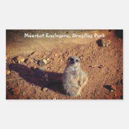 Adesivo Retangular Meerkat Enclosure, Drusillas Park Sticker