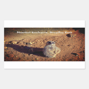 Adesivo Retangular Meerkat Enclosure, Drusillas Park Sticker