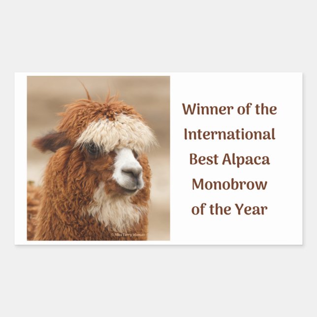 Adesivo Retangular Melhor Sobrancelha Única de Alpaca (Frente)