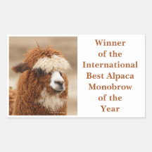 Melhor Sobrancelha Unida de Alpaca