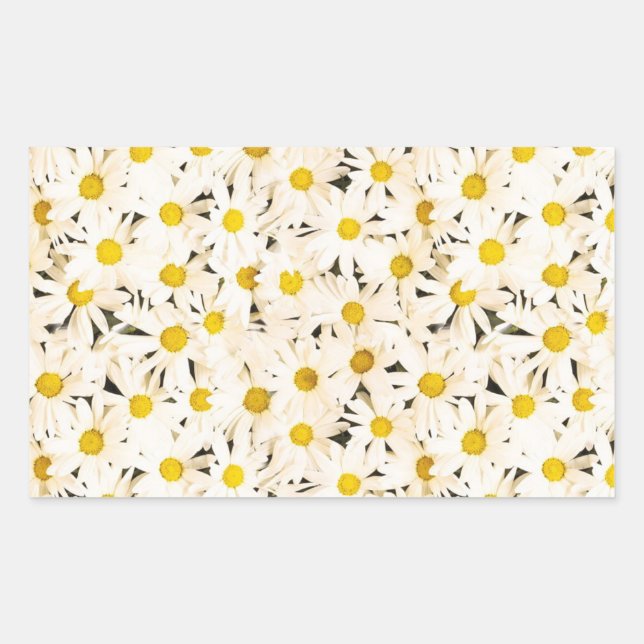 Adesivo Retangular Modelo Elegante de Vazio de  White Daisiers Person (Frente)