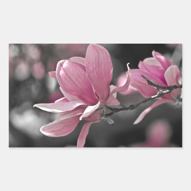 Adesivo Retangular Molho Rosa Japonês Magnolia (Frente)