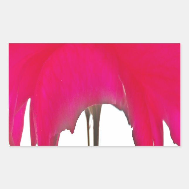 Adesivo Retangular Momento Capturado: Uma Elegância Petal Rosa vermel (Frente)