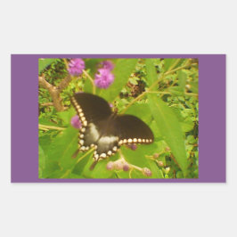 Adesivo Retangular Monarca Preta Envolta em Roxo