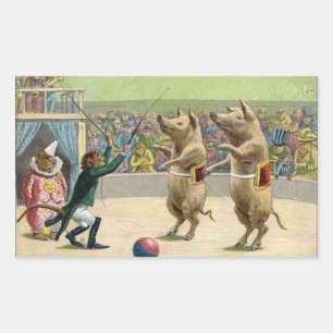 Adesivo Retangular Monkey Ringmaster e Porcos Circus