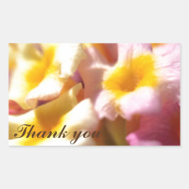 Adesivo Retangular Muito obrigado.