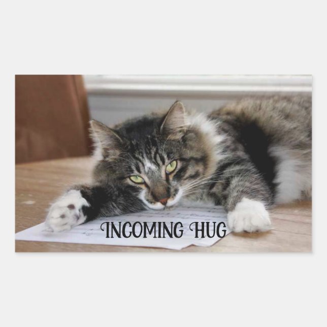 Adesivo Retangular Musical Cat Incoming Hug Stickers (Frente)