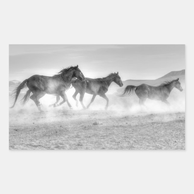 Adesivo Retangular Mustang Run (Frente)