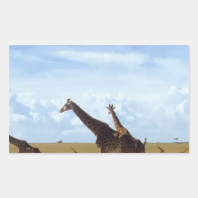 Adesivo Retangular Nairobi National Park Girafas (Frente)