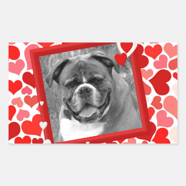 Adesivo Retangular Namorados Boxer Dog Hearts (Frente)