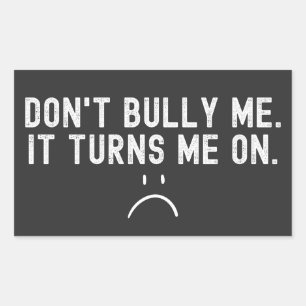 Adesivo Retangular Não me atormente, me excita