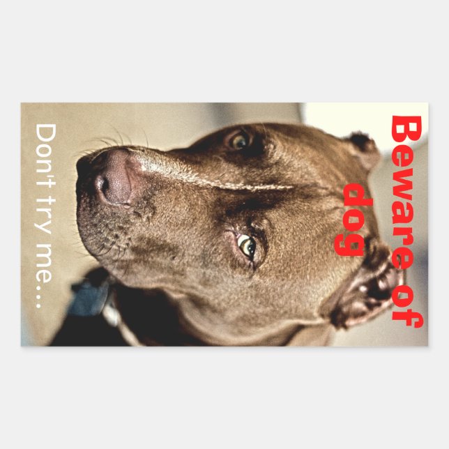 Adesivo Retangular Não me tente...cuidado com o cão - autocolante (Frente)