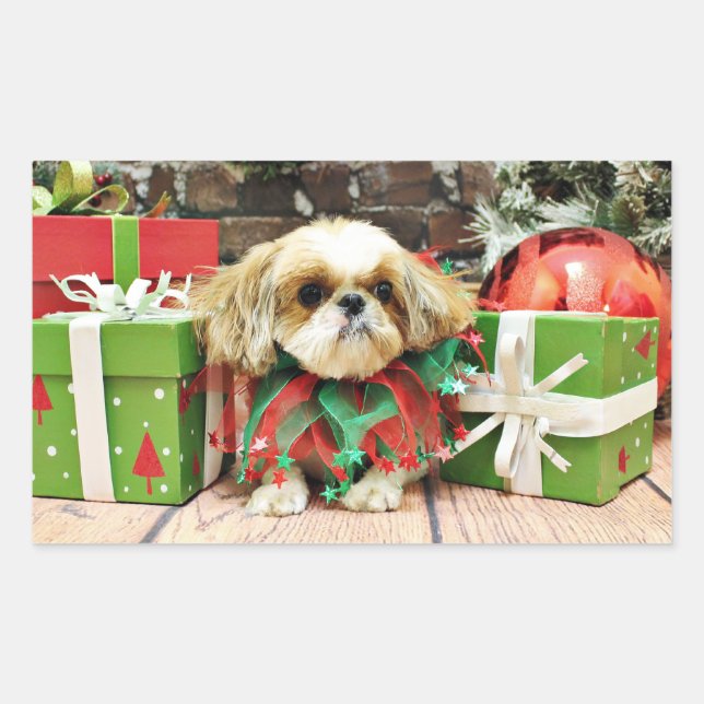 Adesivo Retangular Natal - Shih Tzu - Earl (Frente)