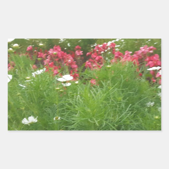Adesivo Retangular Nature Floral Pink e White Flowers Grass (Frente)