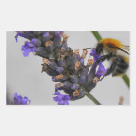 Adesivo Retangular Natures WonMaravilha Workers