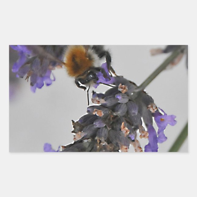 Adesivo Retangular Natures WonMaravilha Workers (Frente)