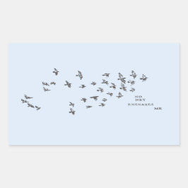 Adesivo Retangular "Nenhuma rede me ensina" + pássaros (preto em azul