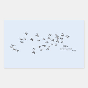 Adesivo Retangular "Nenhuma rede me ensina" + pássaros (preto em azul