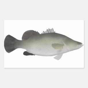 Adesivo Retangular Nile Perch