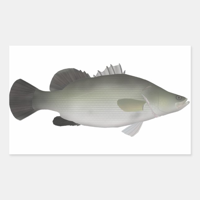 Adesivo Retangular Nile Perch (Frente)