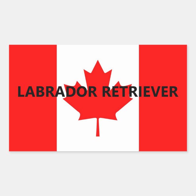Adesivo Retangular Nome do Labrador Retriever na Bandeira (Frente)