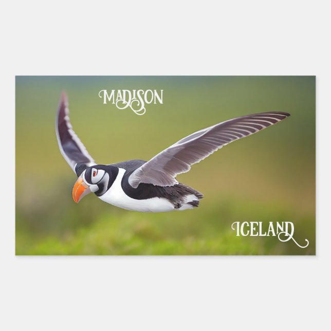 Adesivo Retangular Nome Personalizado de Puffin da Islândia (Frente)
