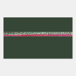 Adesivo Retangular O Arco-Íris Da Pele