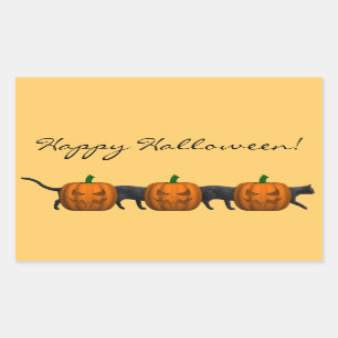 Adesivo Retangular O Gato Mais Longo do Mundo