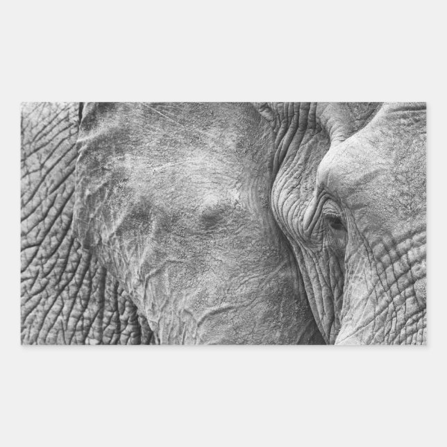 Adesivo Retangular O olho de um elefante (Frente)