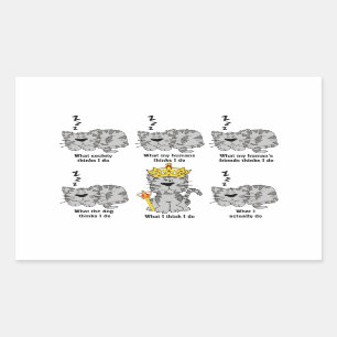 Adesivo Retangular O Que O Gato Acha Engraçado