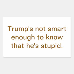 Adesivo Retangular O Trump Idiota Não é Inteligente Hankamer Artjunkh